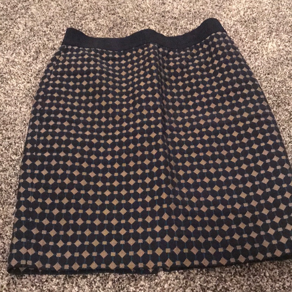 Ann Taylor skirt